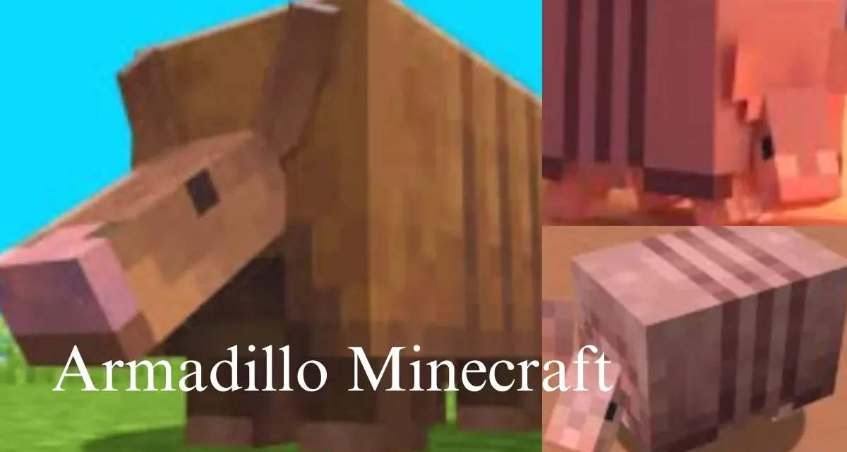 Armadillo Minecraft Secrets: Spawning, Taming, Armor Crafting & More